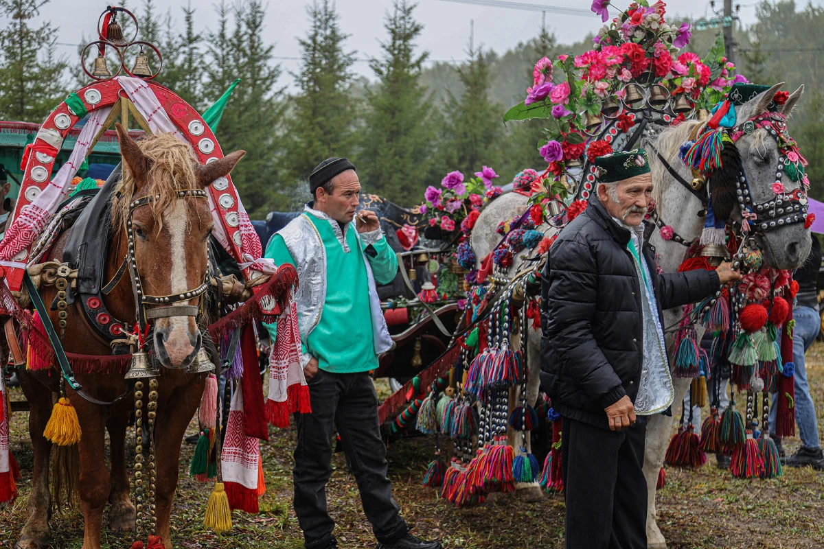 Серия  "День коня"