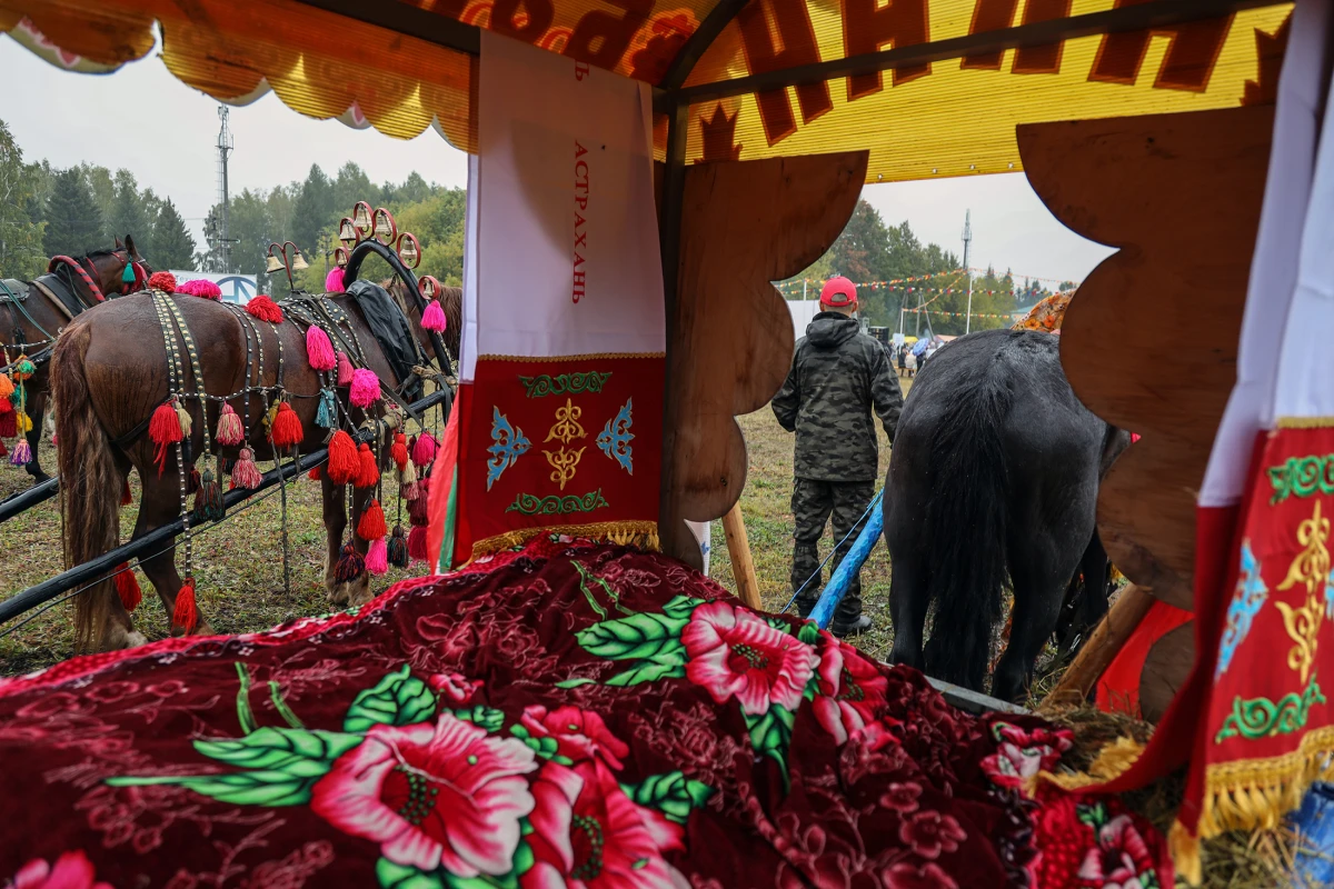 Серия "День коня" 2