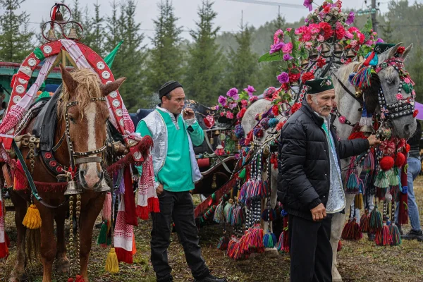 Серия  "День коня"