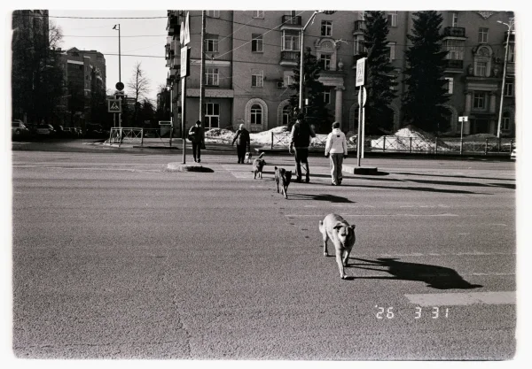 Городские житиели
